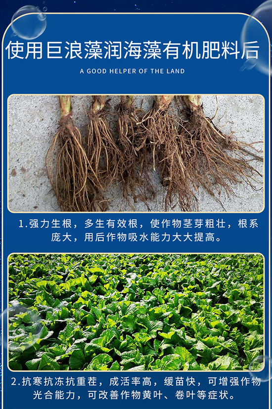18巨浪-藻润海藻有机?-40kg袋装_08.jpg