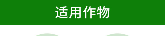 5_01.jpg 5_01.jpg