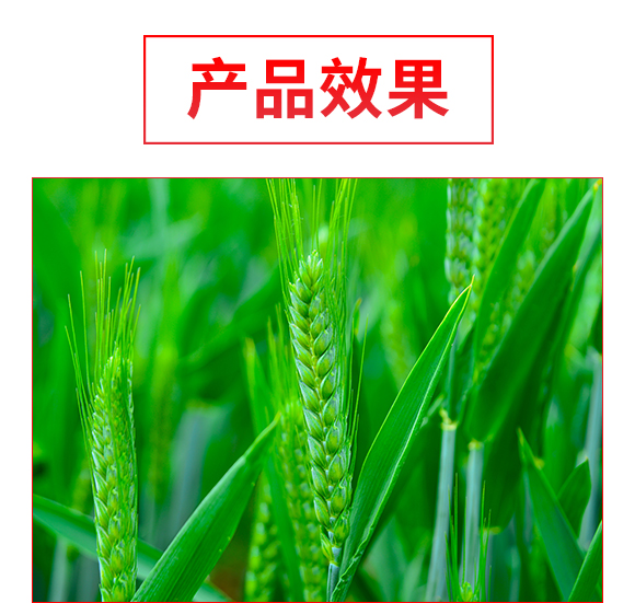 杈夊幙甯傝鲍鍖楃涓氭湁闄愬叕鍙?閮戝搧浼?鍙穇04.jpg 杈夊幙甯傝鲍鍖楃涓氭湁闄愬叕鍙?閮戝搧浼?鍙穇04.jpg