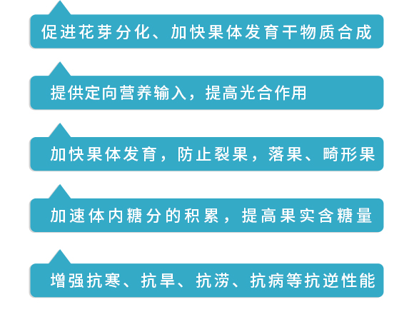 1_03.jpg 1_03.jpg