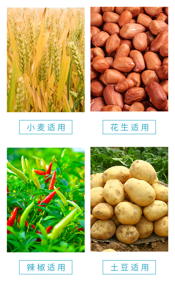 濂ユ柉椤跨敓鐗╃鎶鏈夐檺鍏徃-榛戝姏鍋ョ熆婧愰粍鑵愰吀閽?鏂藉鍋06.jpg 濂ユ柉椤跨敓鐗╃鎶鏈夐檺鍏徃-榛戝姏鍋ョ熆婧愰粍鑵愰吀閽?鏂藉鍋06.jpg