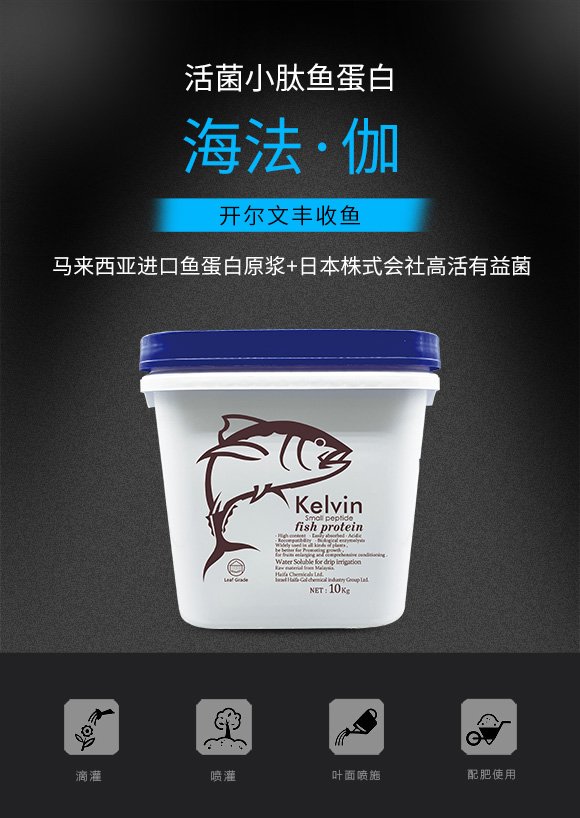 娲昏弻灏忚偨楸艰泲鐧?寮灏旀枃涓版敹楸?娴锋硶路浼絖01.jpg 娲昏弻灏忚偨楸艰泲鐧?寮灏旀枃涓版敹楸?娴锋硶路浼絖01.jpg