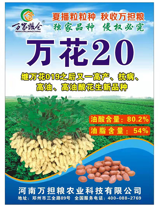 万花20-花生种子-万担粮 万花20-花生种子-万担粮