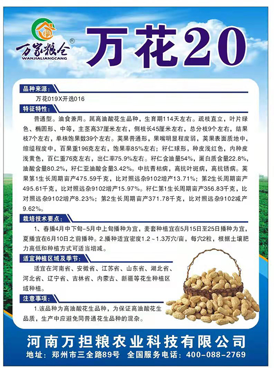 万花20-花生种子-万担粮 万花20-花生种子-万担粮