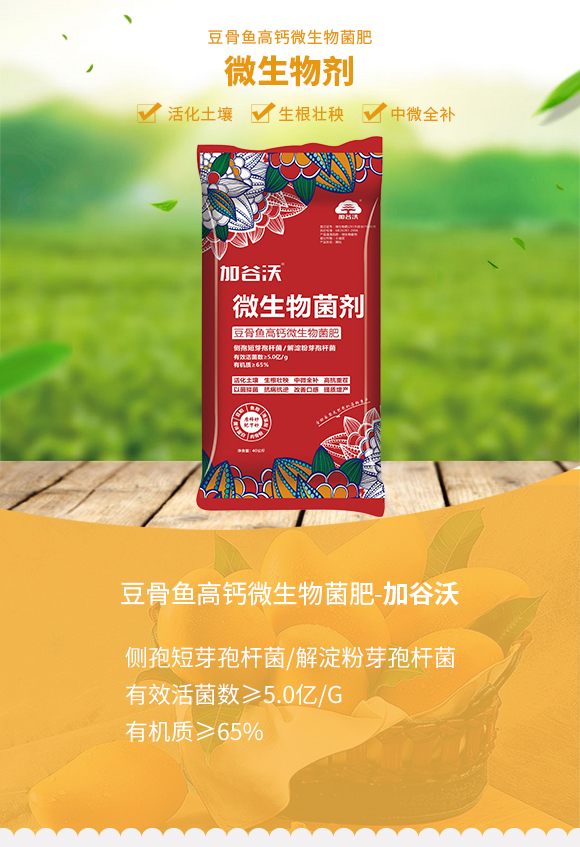 璞嗛楸奸珮閽欏井鐢熺墿鑿岃偉-鍔犺胺娌僟01.jpg 璞嗛楸奸珮閽欏井鐢熺墿鑿岃偉-鍔犺胺娌僟01.jpg