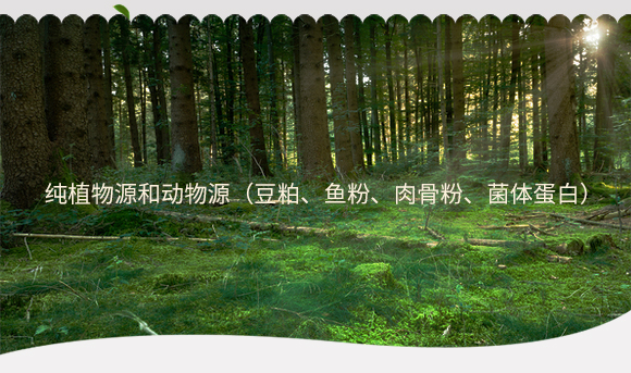 璞嗛楸奸珮閽欏井鐢熺墿鑿岃偉-鍔犺胺娌僟03.jpg 璞嗛楸奸珮閽欏井鐢熺墿鑿岃偉-鍔犺胺娌僟03.jpg