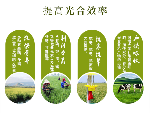 鐭挎簮榛勮厫閰搁捑路娴疯椈閰?澶╁北榛戦噾-涓壒鐓02.jpg 鐭挎簮榛勮厫閰搁捑路娴疯椈閰?澶╁北榛戦噾-涓壒鐓02.jpg