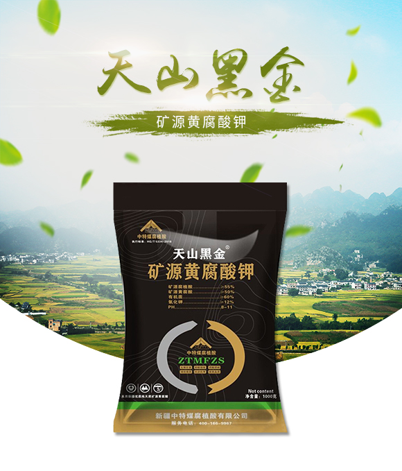 鐭挎簮榛勮厫閰搁捑-澶╁北榛戦噾-涓壒鐓01.jpg 鐭挎簮榛勮厫閰搁捑-澶╁北榛戦噾-涓壒鐓01.jpg