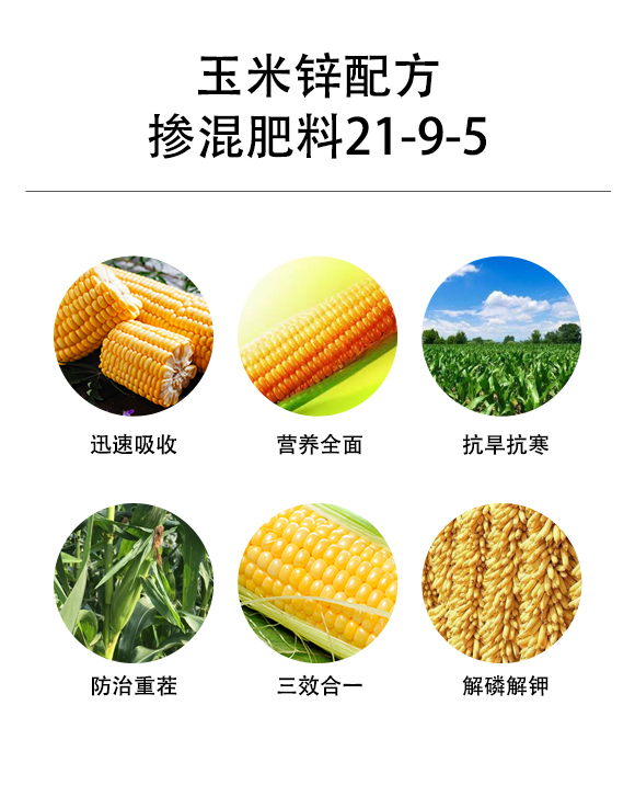 鐜夌背閿岄厤鏂规幒娣疯偉鏂?1-9-5-鍗庡崥澶╀笅_02.jpg 鐜夌背閿岄厤鏂规幒娣疯偉鏂?1-9-5-鍗庡崥澶╀笅_02.jpg