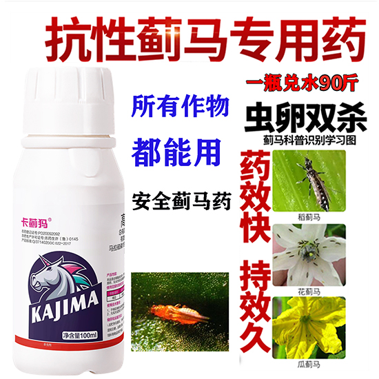 花蓟?.jpg