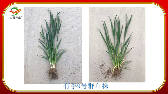 骞荤伅鐗?7.jpg 骞荤伅鐗?7.jpg