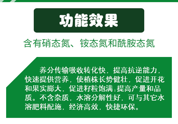 1_02.jpg 1_02.jpg