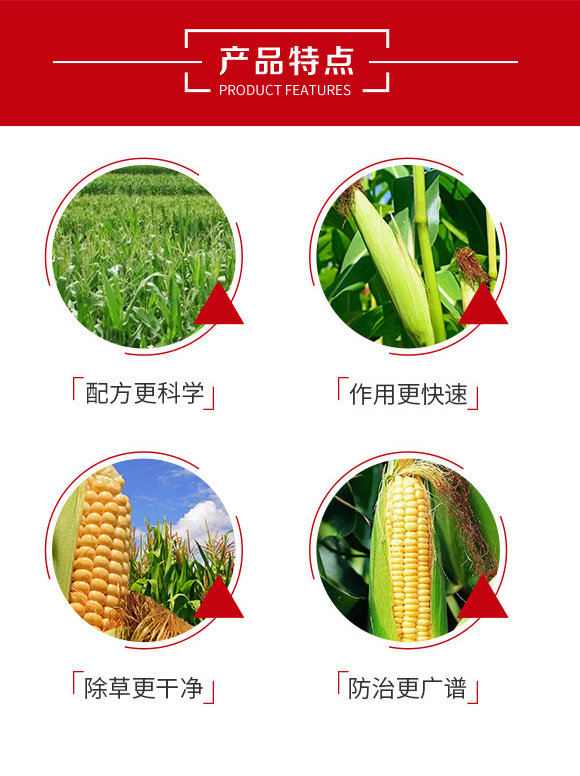 30%硝烟·莠去津-郑州鼎来瑞-农资_03.jpg 30%硝烟·莠去津-郑州鼎来瑞-农资_03.jpg