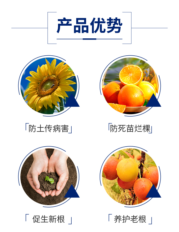 娌冲崡鑺兘鍐滀笟绉戞妧鏈夐檺鍏徃_03.jpg 娌冲崡鑺兘鍐滀笟绉戞妧鏈夐檺鍏徃_03.jpg
