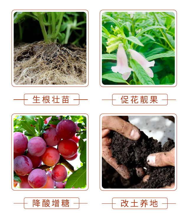 宸翠箰鏂?鍢夐湒涓囧熀_05.jpg 宸翠箰鏂?鍢夐湒涓囧熀_05.jpg