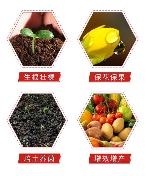 鑿屼箣婧?鏅垱绉戞妧_05.jpg 鑿屼箣婧?鏅垱绉戞妧_05.jpg