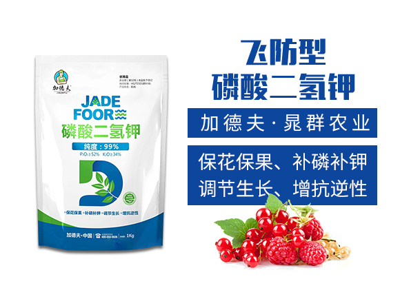 河北晁群农业科技有限公司_02.jpg