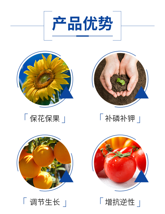 河北晁群农业科技有限公司_03.jpg