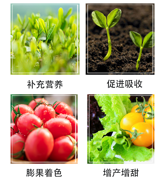 鑶ㄦ灉闈撴灉-娌冩槗鏂絖05.jpg 鑶ㄦ灉闈撴灉-娌冩槗鏂絖05.jpg