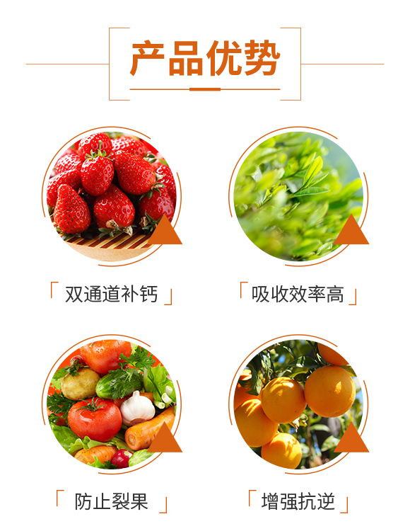 娌冲寳鏅佺兢鍐滀笟绉戞妧鏈夐檺鍏徃_03.jpg 娌冲寳鏅佺兢鍐滀笟绉戞妧鏈夐檺鍏徃_03.jpg