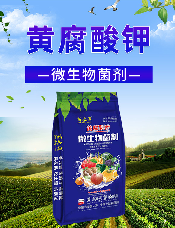 鑿屼箣婧?鏅垱_01.jpg 鑿屼箣婧?鏅垱_01.jpg