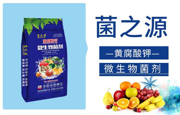 鑿屼箣婧?鏅垱_03.jpg 鑿屼箣婧?鏅垱_03.jpg