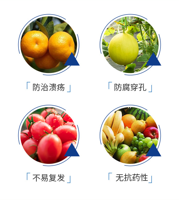 濞囨灉缇?鍢夐湒涓囧熀_05.jpg 濞囨灉缇?鍢夐湒涓囧熀_05.jpg