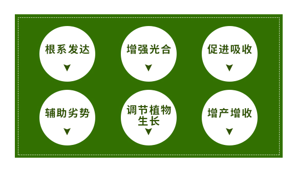 鑱婂煄璇哄皵鐢熺墿绉戞妧鏈夐檺鍏徃_02.jpg 鑱婂煄璇哄皵鐢熺墿绉戞妧鏈夐檺鍏徃_02.jpg