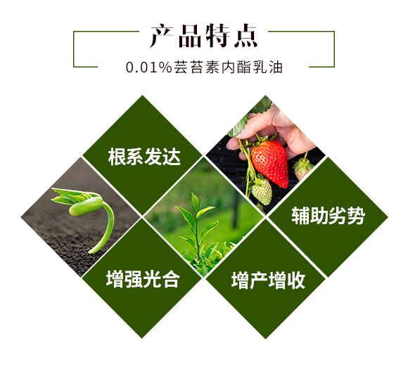 鑱婂煄璇哄皵鐢熺墿绉戞妧鏈夐檺鍏徃_03.jpg 鑱婂煄璇哄皵鐢熺墿绉戞妧鏈夐檺鍏徃_03.jpg