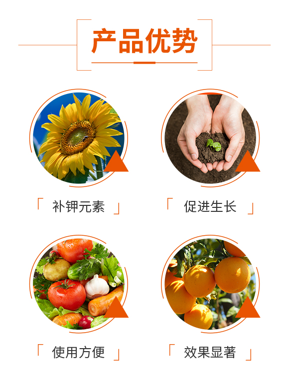娌冲崡鏄撴櫘鏂浗闄呰锤鏄撴湁闄愬叕鍙?_03.jpg 娌冲崡鏄撴櫘鏂浗闄呰锤鏄撴湁闄愬叕鍙?_03.jpg