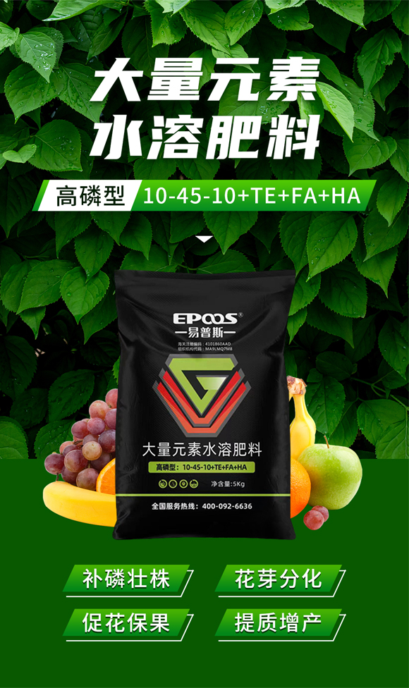 娌冲崡鏄撴櫘鏂浗闄呰锤鏄撴湁闄愬叕鍙?_01.jpg 娌冲崡鏄撴櫘鏂浗闄呰锤鏄撴湁闄愬叕鍙?_01.jpg