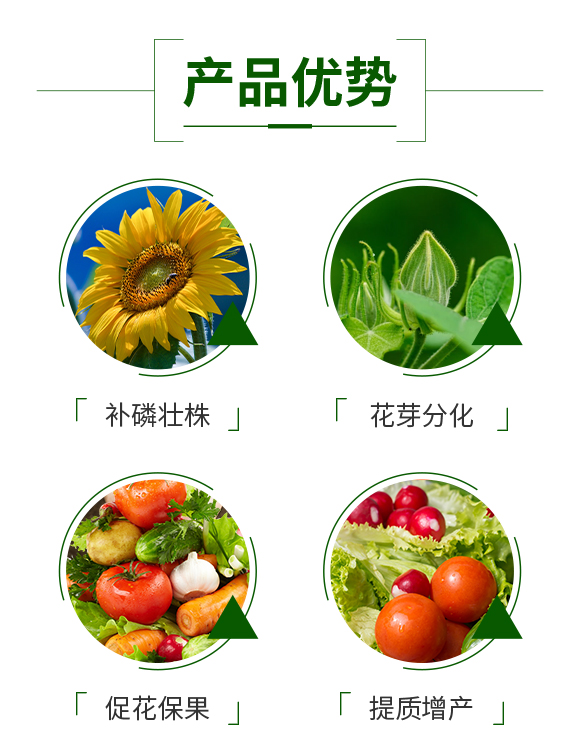 娌冲崡鏄撴櫘鏂浗闄呰锤鏄撴湁闄愬叕鍙?_03.jpg 娌冲崡鏄撴櫘鏂浗闄呰锤鏄撴湁闄愬叕鍙?_03.jpg