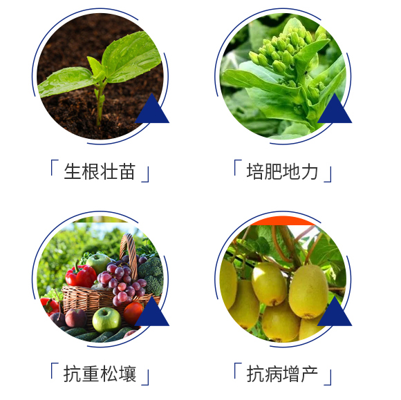 鏍规灉澶?宸ц拷-涓鍖栧伐_05.jpg 鏍规灉澶?宸ц拷-涓鍖栧伐_05.jpg