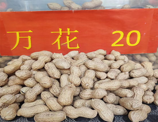 寰俊鍥剧墖_20241224140557.png 寰俊鍥剧墖_20241224140557.png