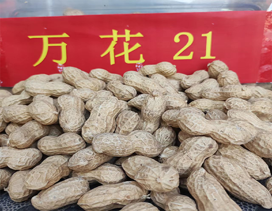寰俊鍥剧墖_20241224140600.png 寰俊鍥剧墖_20241224140600.png