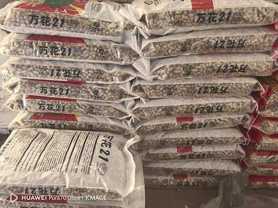寰俊鍥剧墖_20241224140459.jpg 寰俊鍥剧墖_20241224140459.jpg