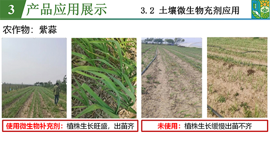 菌吾细研农业篇_23.jpg