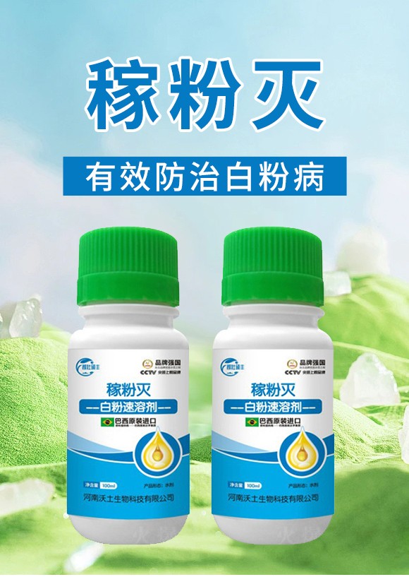 鐧界矇閫熸憾鍓?绋肩矇鐏?娌冨湡鐢熺墿_01.jpg 鐧界矇閫熸憾鍓?绋肩矇鐏?娌冨湡鐢熺墿_01.jpg