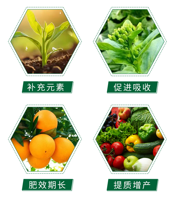 姘存椿鎬侀珮濉斿姩鍔涙爱鑲?鑻楃珛澹?娌冮湼_05.jpg 姘存椿鎬侀珮濉斿姩鍔涙爱鑲?鑻楃珛澹?娌冮湼_05.jpg