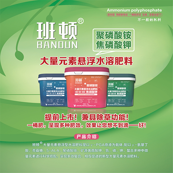 涓扮敯鐢诲唽20250419a_15.jpg 涓扮敯鐢诲唽20250419a_15.jpg