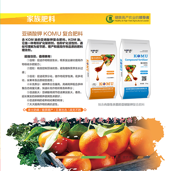 涓扮敯鐢诲唽20250419a_06.jpg 涓扮敯鐢诲唽20250419a_06.jpg